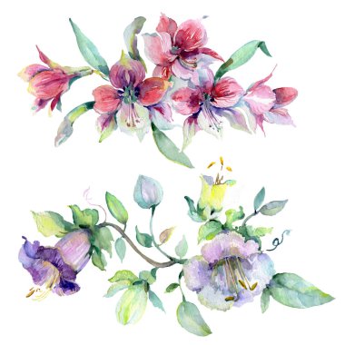 Buket çiçek botanik çiçekler. Suluboya arka plan illüstrasyon seti. İzole buketleri illüstrasyon elemanı.