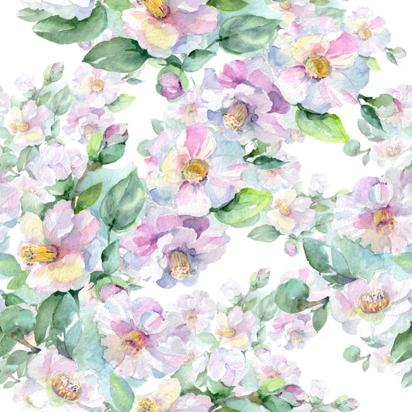 Blumenstrauß botanische Blumen. Aquarell Hintergrundillustration Set. nahtloses Hintergrundmuster. — Stockfoto