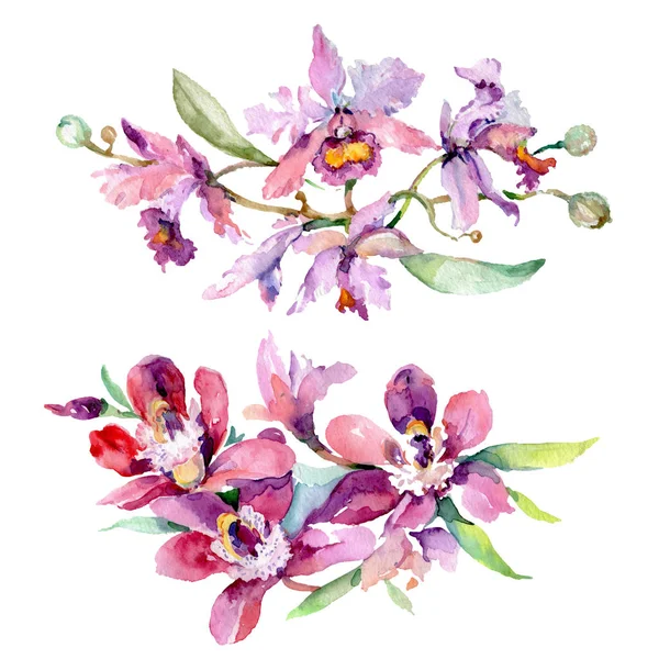 Bukiety orchidei kwiatów kwiatów botanicznych. Akwarela zestaw ilustracji tła. Element ilustracji na białym tle bukiet. — Zdjęcie stockowe