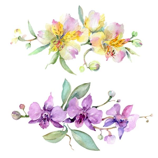 Orkidé buketter blommiga botaniska blommor. Akvarell bakgrund illustration uppsättning. Isolerad bukett illustration element. — Stockfoto