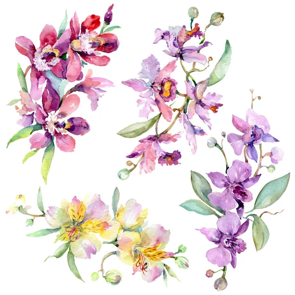 Orchidee boeketten bloemen botanische bloemen. Aquarel achtergrond illustratie instellen. Geïsoleerd boeket illustratie element. — Stockfoto