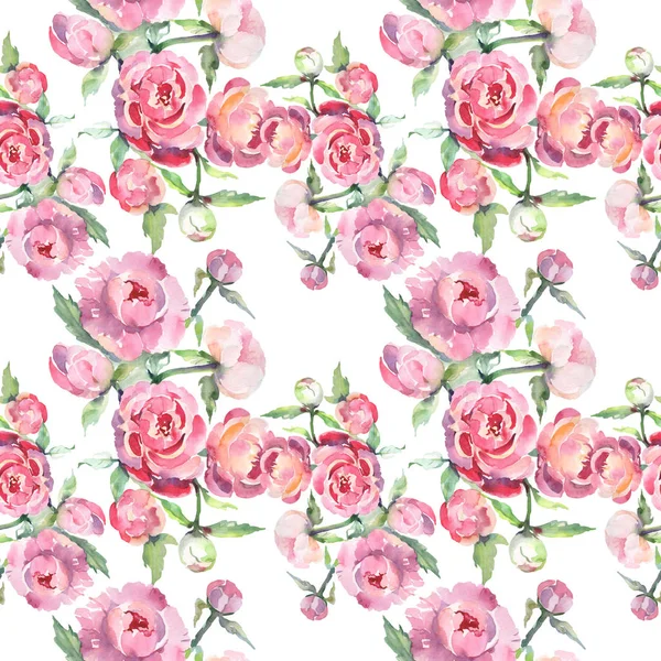 ピオニー花の植物の花と花束。●水彩背景イラストセット。シームレスな背景パターン. — ストック写真