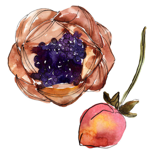 Tasty cake and bun sweet dessert. Watercolor background illustration set. Isolated desserts illustration element.