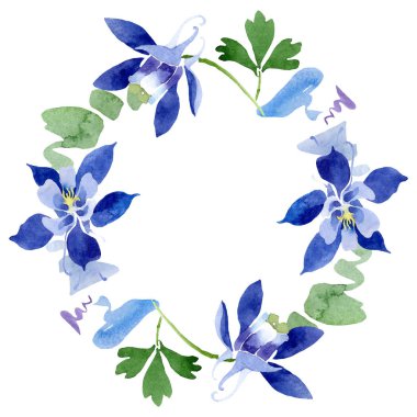 Mavi aquilegia çiçek botanik çiçekler. Suluboya arka plan illüstrasyon seti. Çerçeve kenarlık süs karesi.