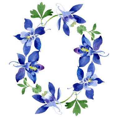 Mavi aquilegia çiçek botanik çiçekler. Suluboya arka plan illüstrasyon seti. Çerçeve kenarlık süs karesi.