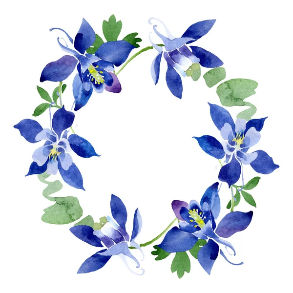 Azul aquilegia flores botánicas florales. Conjunto de ilustración de fondo acuarela. Marco borde ornamento cuadrado . — Foto de Stock