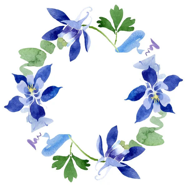 Azul aquilegia flores botánicas florales. Conjunto de ilustración de fondo acuarela. Marco borde ornamento cuadrado . — Foto de Stock