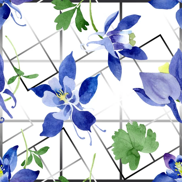 Niebieski Aquilegia kwiatowy kwiatów botanicznych. Akwarela zestaw ilustracji tła. Płynny wzór tła. — Zdjęcie stockowe