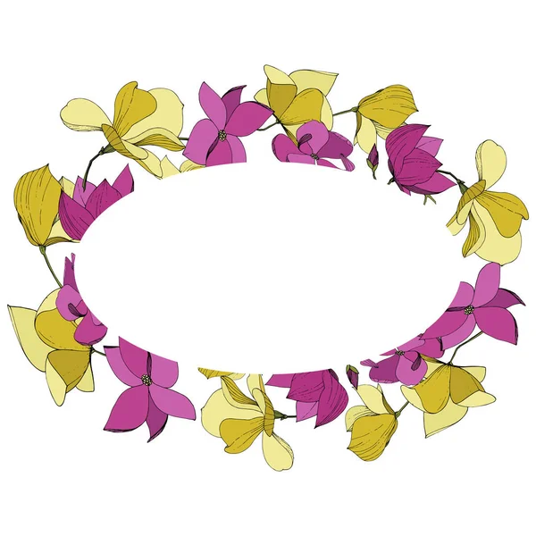 Vector Magnolia flores botánicas florales. Tinta grabada púrpura y amarilla. Marco borde ornamento cuadrado . — Vector de stock