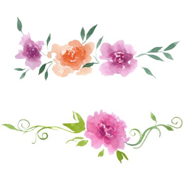 Şakayık çiçekbotanik çiçekleri. Suluboya arka plan illüstrasyon seti. İzole şakayık illüstrasyon elemanı.