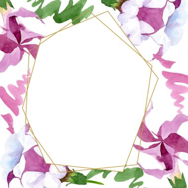 Brugmansia çiçek botanik çiçekleri. Suluboya arka plan illüstrasyon seti. Çerçeve kenarlık süs karesi.