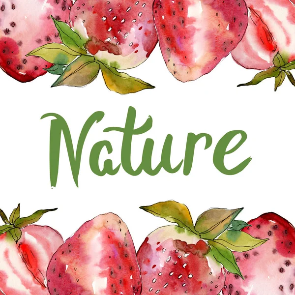 Fraise alimentation saine fraise fraîche. Ensemble d'illustration de fond aquarelle. Cadre bordure ornement carré . — Photo