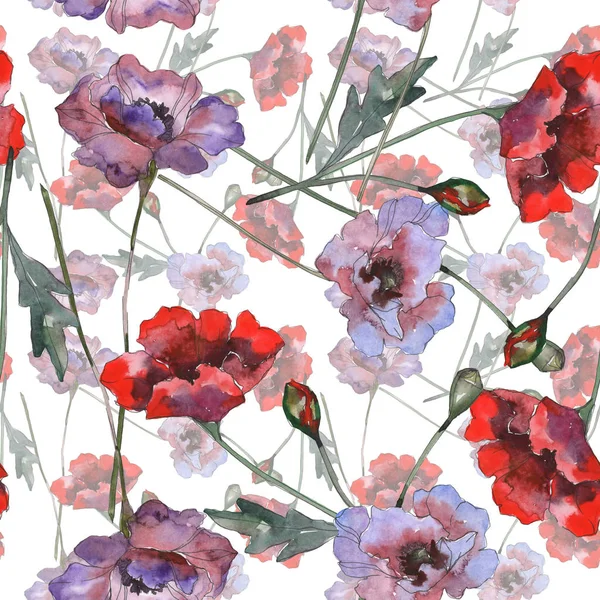 Flores botánicas florales de amapola. Conjunto de ilustración de fondo acuarela. Patrón de fondo sin costuras . — Foto de Stock