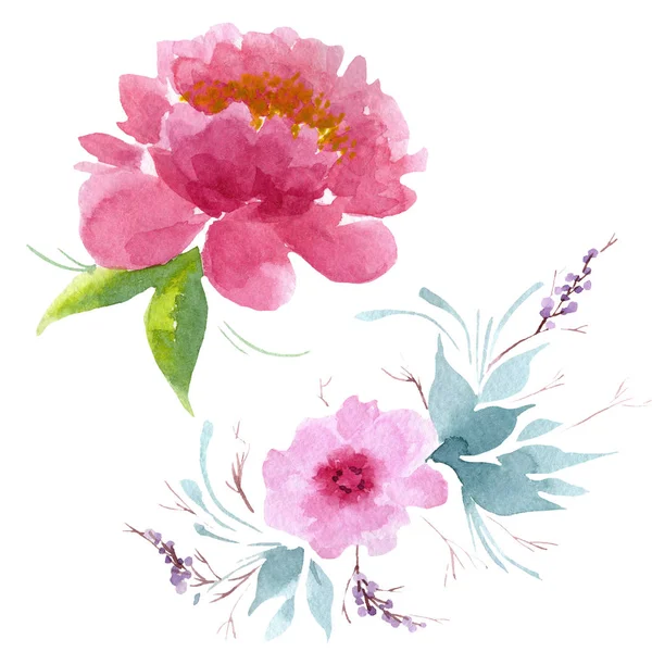 Peony kwiatowe kwiaty botaniczne. Akwarela zestaw ilustracji tła. Pojedyncze piwonie ilustracja element. — Zdjęcie stockowe