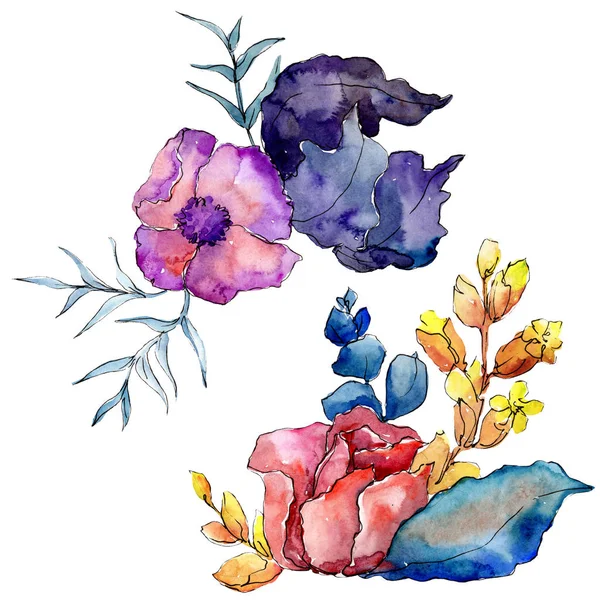 Bouquets flores botânicas florais. Conjunto de ilustração de fundo aquarela. Isolado buquê elemento ilustração . — Fotografia de Stock