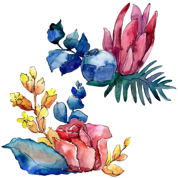 부케 꽃 식물 꽃입니다. 수채화 배경 그림 설정 합니다. 격리 된 꽃다발 그림 요소. — 스톡 사진