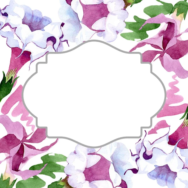 Brugmansia bloemen botanische bloemen. Aquarel achtergrond illustratie instellen. Frame rand ornament vierkant. — Stockfoto