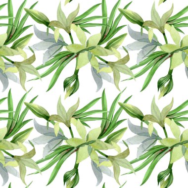 Amaryllis çiçek botanik çiçekleri. Suluboya arka plan illüstrasyon seti. Kesintisiz arka plan deseni.