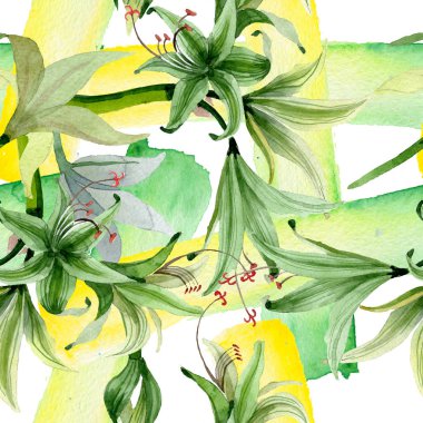 Amaryllis çiçek botanik çiçekleri. Suluboya arka plan illüstrasyon seti. Kesintisiz arka plan deseni.