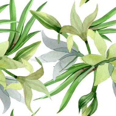 Amaryllis çiçek botanik çiçekleri. Suluboya arka plan illüstrasyon seti. Kesintisiz arka plan deseni.