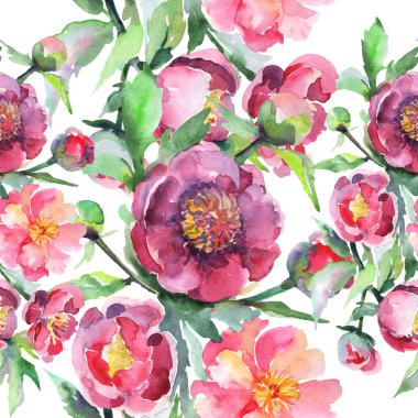 Şakayık buketi çiçek botanik çiçekleri. Suluboya arka plan illüstrasyon seti. Kesintisiz arka plan deseni.