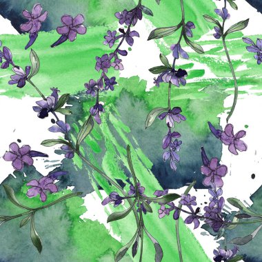 Mor lavanta çiçek botanik çiçekleri. Suluboya arka plan illüstrasyon seti. Kesintisiz arka plan deseni.