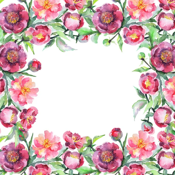 Bouquet di peonia fiori botanici floreali. Acquerello sfondo illustrazione set. Quadrato ornamento bordo cornice . — Foto Stock