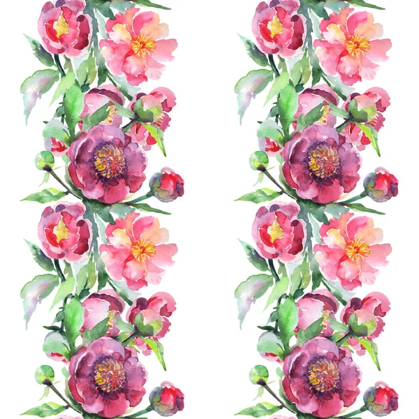 Şakayık buketi çiçek botanik çiçekleri. Suluboya arka plan illüstrasyon seti. Kesintisiz arka plan deseni.