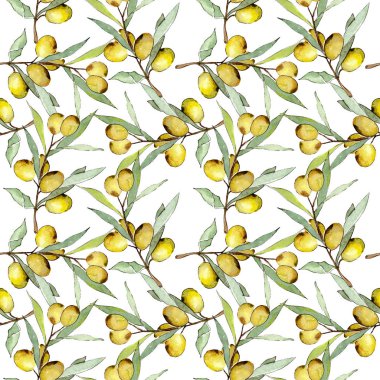 Yeşil meyveli zeytin dalı. Suluboya arka plan illüstrasyon seti. Suluboya çizim moda aquarelle izole. Kusursuz arka plan deseni. Kumaş duvar kağıdı baskı doku.