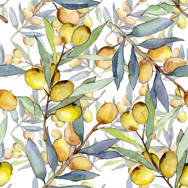 Yeşil meyveli zeytin dalı. Suluboya arka plan illüstrasyon seti. Suluboya çizim moda aquarelle izole. Kusursuz arka plan deseni. Kumaş duvar kağıdı baskı doku.