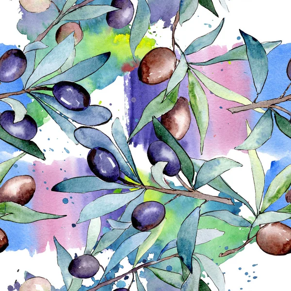 Olive Branch Black Fruit Watercolor Background Illustration Set Watercolour Drawing — Stock Photo, Image