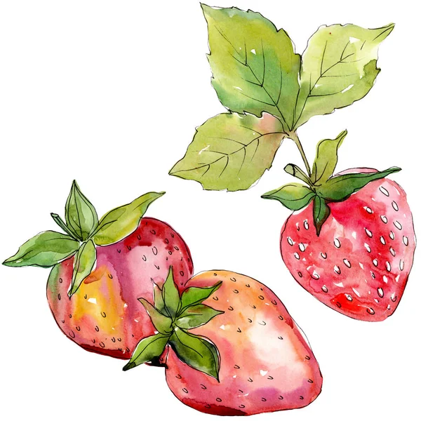 イチゴの健康食品新鮮なベリー 水彩背景イラストセット 水彩画ファッションアクアレル孤立 孤立したベリーイラスト要素 — ストック写真