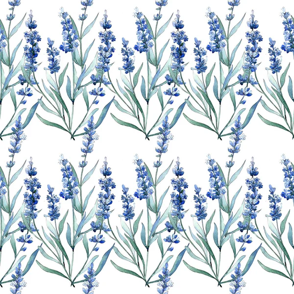 Flores botânicas florais de lavanda azul. Conjunto de ilustração de fundo aquarela. Padrão de fundo sem costura . — Fotografia de Stock