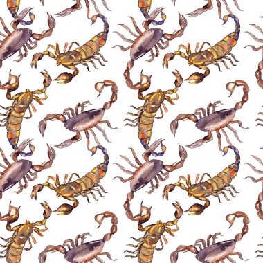 Egzotik akrep vahşi böcek izole. Suluboya arka plan illüstrasyon seti. Kesintisiz arka plan deseni.