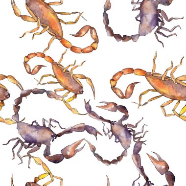 Egzotik akrep vahşi böcek izole. Suluboya arka plan illüstrasyon seti. Kesintisiz arka plan deseni.