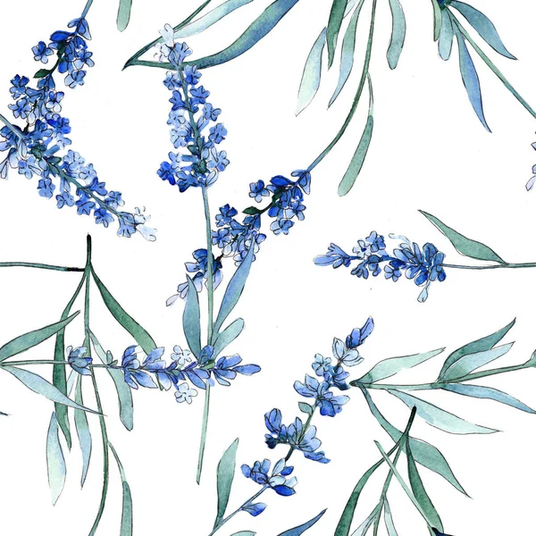Blauwe lavendel bloemen botanische bloemen. Aquarel achtergrond illustratie instellen. Naadloos achtergrond patroon. — Stockfoto