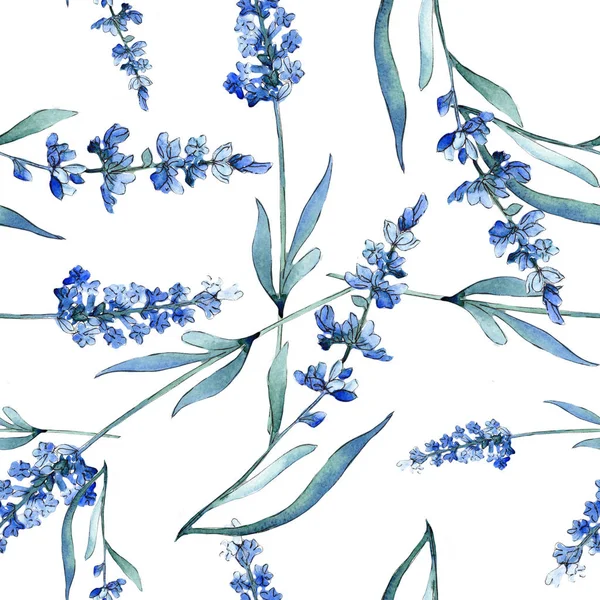 Fiori botanici floreali di lavanda blu. Acquerello sfondo illustrazione set. Modello di sfondo senza soluzione di continuità . — Foto Stock