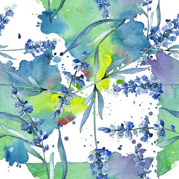 Mavi lavanta çiçek botanik çiçekleri. Suluboya arka plan illüstrasyon seti. Kesintisiz arka plan deseni.
