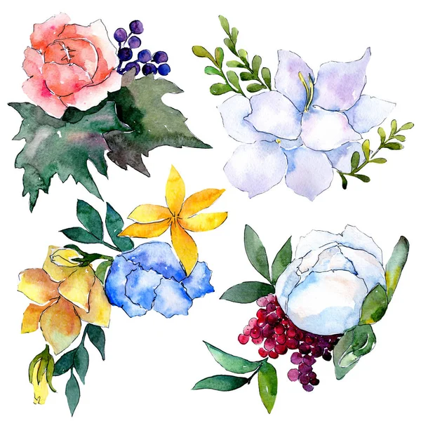 花束花卉植物花。水彩背景插图集。隔离花束插图元件. — 图库照片