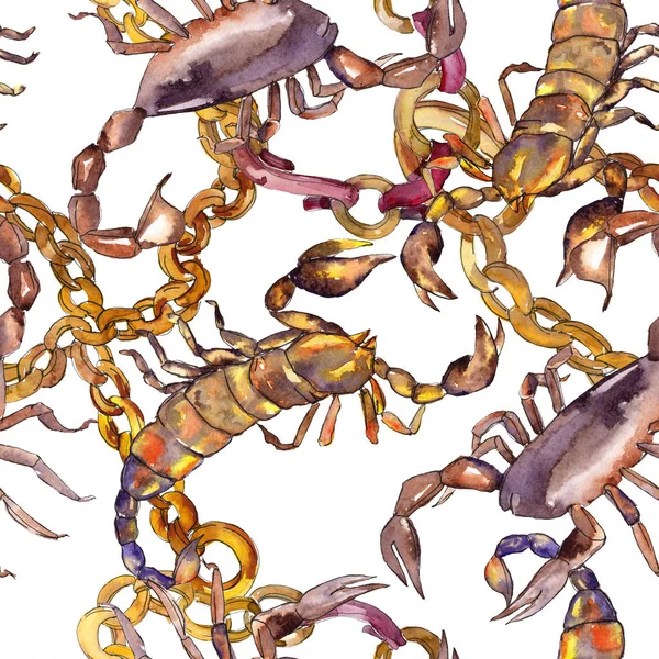 Exotische Scorpion Wild insect geïsoleerd. Aquarel achtergrond illustratie instellen. Naadloos achtergrond patroon. — Stockfoto