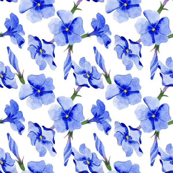 Phlox floral botanical flowers. Watercolor background illustration set. Seamless background pattern. — Stock Photo, Image