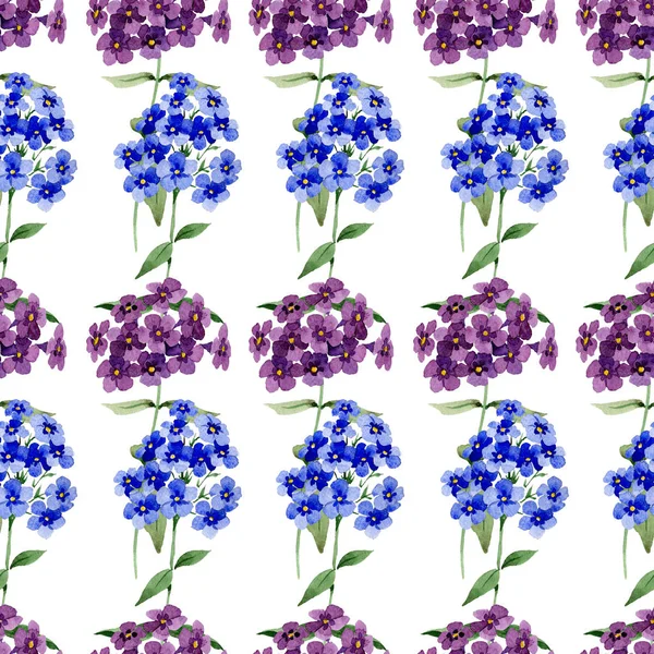 Phlox fleurs botaniques florales. Ensemble d'illustration de fond aquarelle. Modèle de fond sans couture . — Photo
