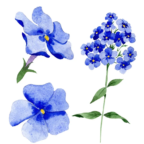 Phlox kwiatowy kwiatów botanicznych. Akwarela zestaw ilustracji tła. Izolowany element ilustracji Floks. — Zdjęcie stockowe