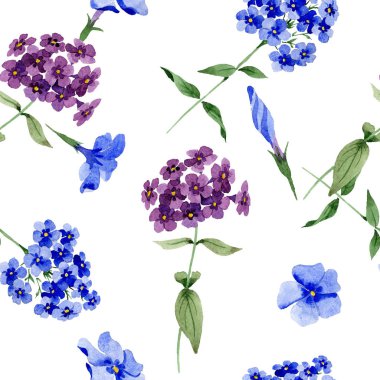 Phlox çiçek botanik çiçekleri. Suluboya arka plan illüstrasyon seti. Kesintisiz arka plan deseni.