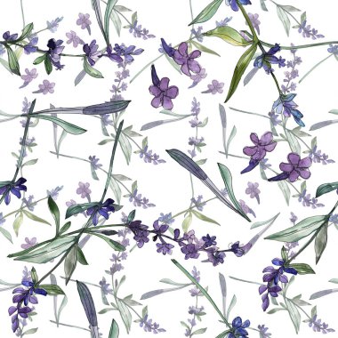 Mor lavanta çiçek botanik çiçekleri. Suluboya arka plan illüstrasyon seti. Kesintisiz arka plan deseni.