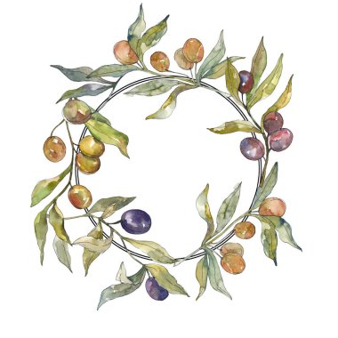 Siyah ve yeşil meyveli zeytin dalı. Suluboya arka plan illüstrasyon seti. Çerçeve kenarlık süs karesi.