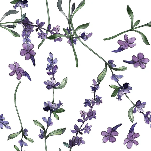 Flores botânicas florais de lavanda violeta. Conjunto de ilustração de fundo aquarela. Padrão de fundo sem costura . — Fotografia de Stock