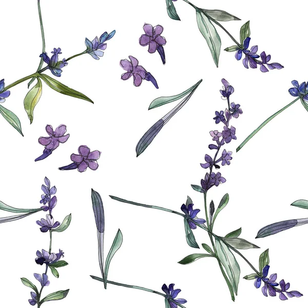 Violet lavender floral botanical flowers. Watercolor background illustration set. Seamless background pattern.