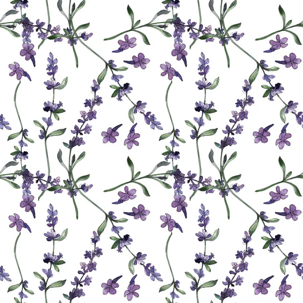 Violettem Lavendel blühen botanische Blumen. Aquarell Hintergrundillustration Set. nahtloses Hintergrundmuster. — Stockfoto