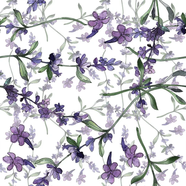 Flores botânicas florais de lavanda violeta. Conjunto de ilustração de fundo aquarela. Padrão de fundo sem costura . — Fotografia de Stock